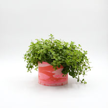 Load image into Gallery viewer, Plant Pot Pink Flamingo
